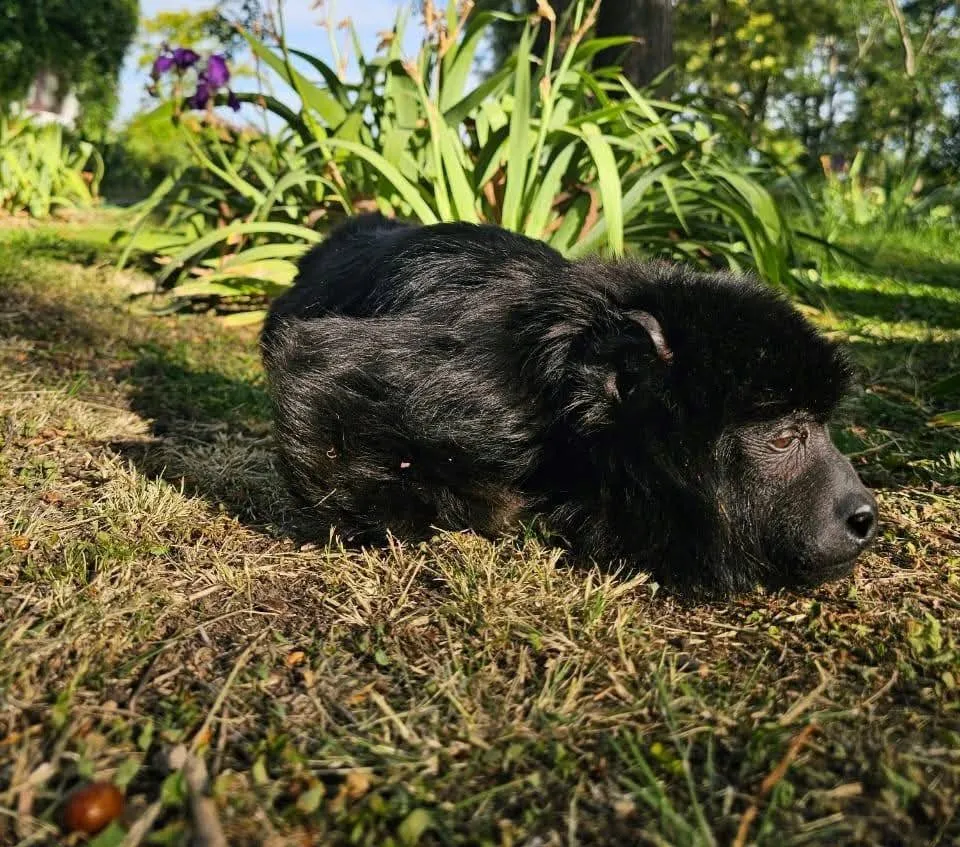 472044888_1128449095347457_7431728008161026313_n