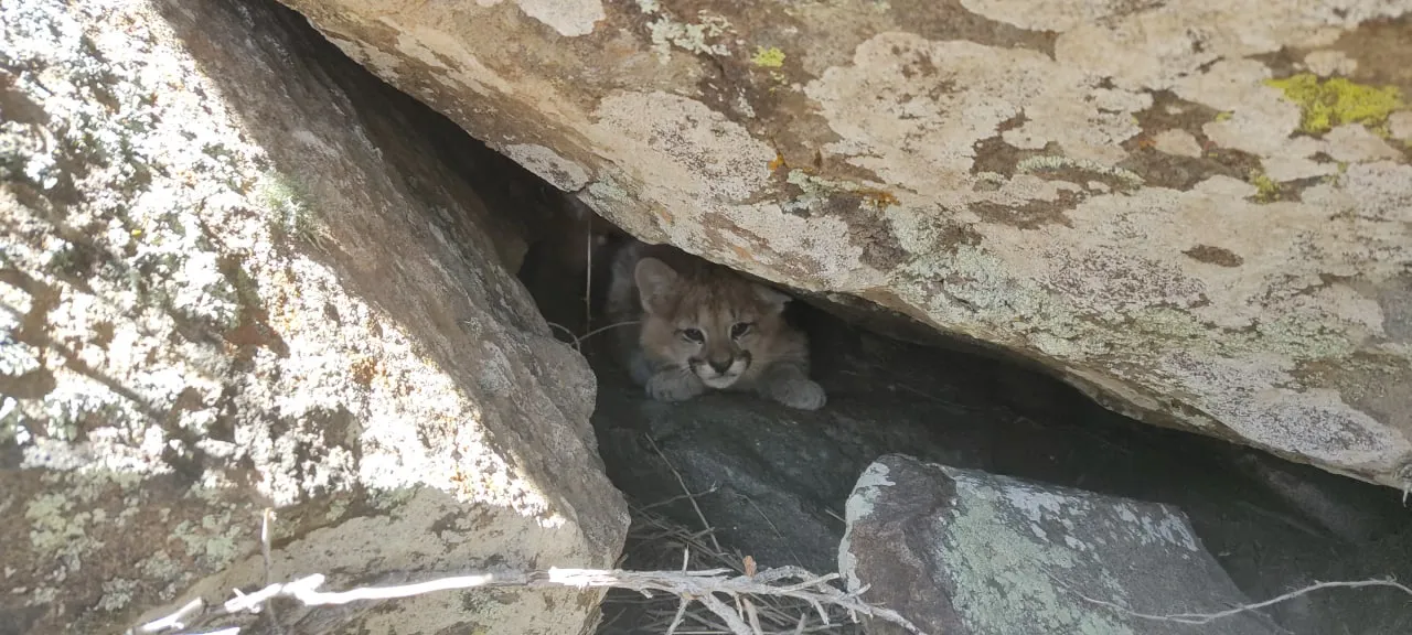 photo_2022-12-01_22-32-36