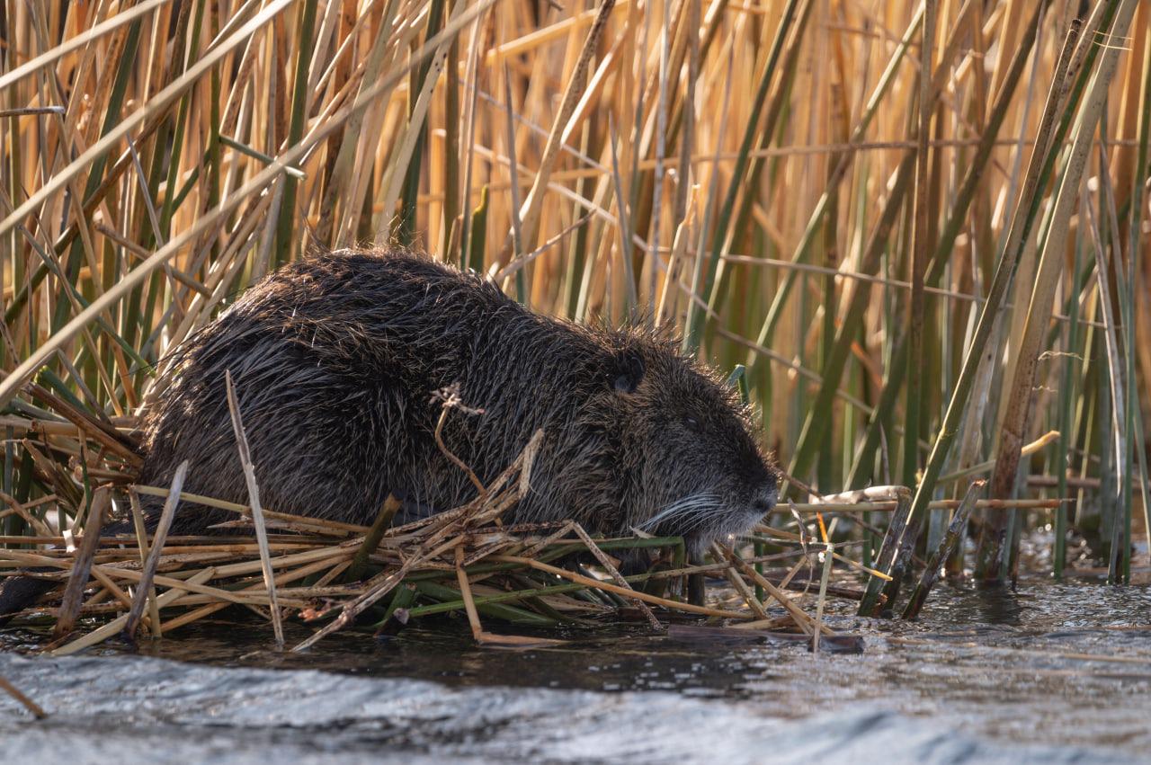 WhatsApp Image 2023-03-20 at 08.29.46