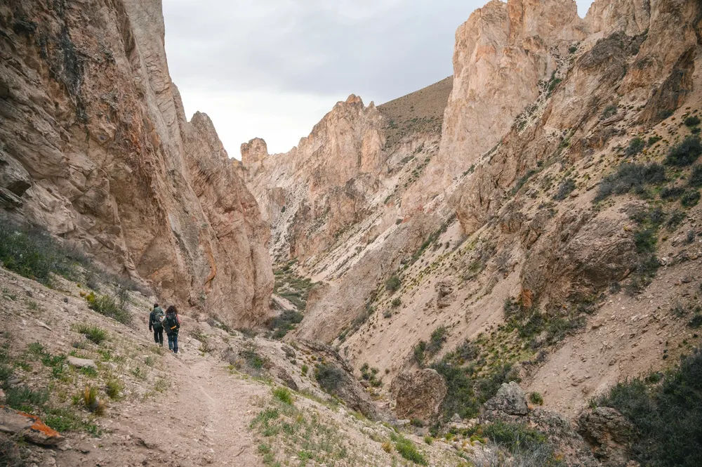 Imagen de WhatsApp 2025-01-15 a las 14.44.40_f9d5dd73~1