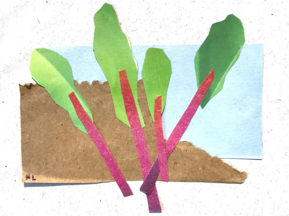 F7617D64-07BB-4039-8AC6-07BB90B36696