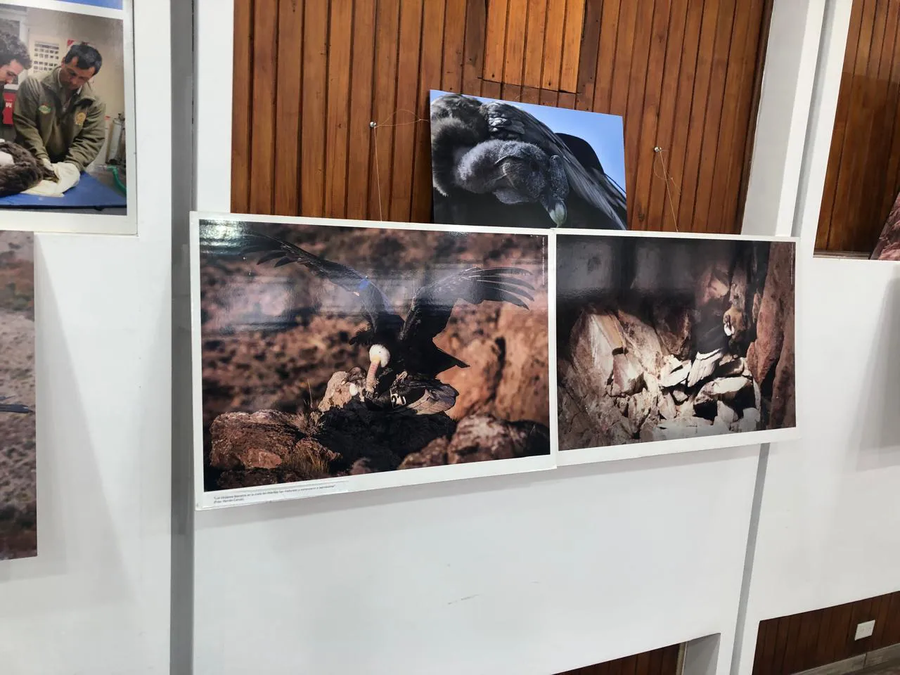 WhatsApp Image 2025-10-13 at 21.37.16