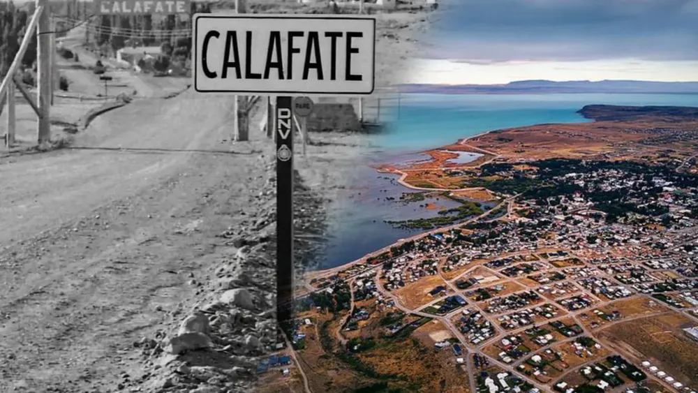 WhatsApp Image 2026-04-11 at 15.54.37