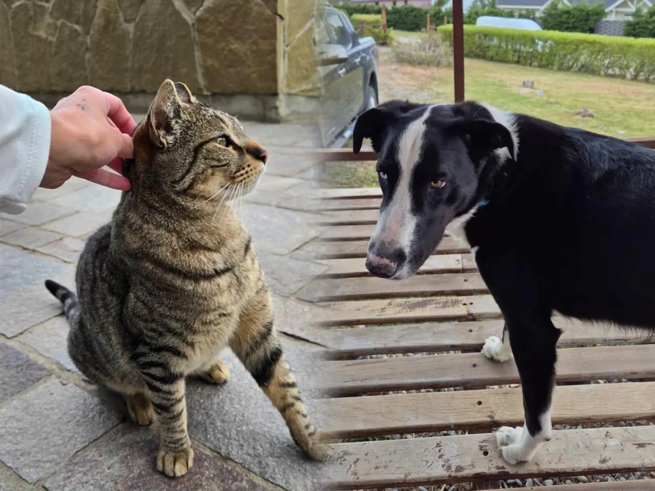 WhatsApp Image 2026-01-20 at 11.24.08