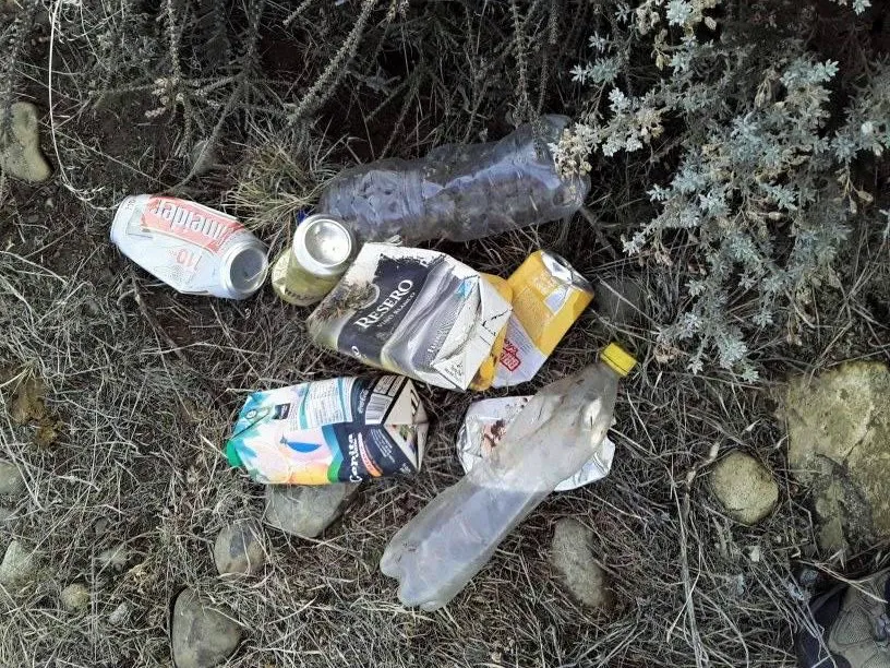 309276735_400686825587599_6950575295818247668_n