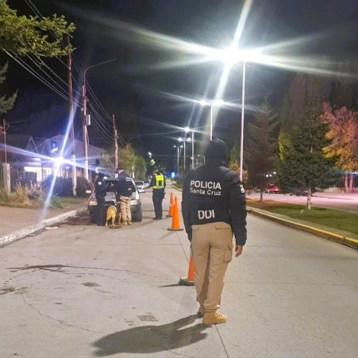 WhatsApp Image 2026-03-28 at 03.14.19 (1)