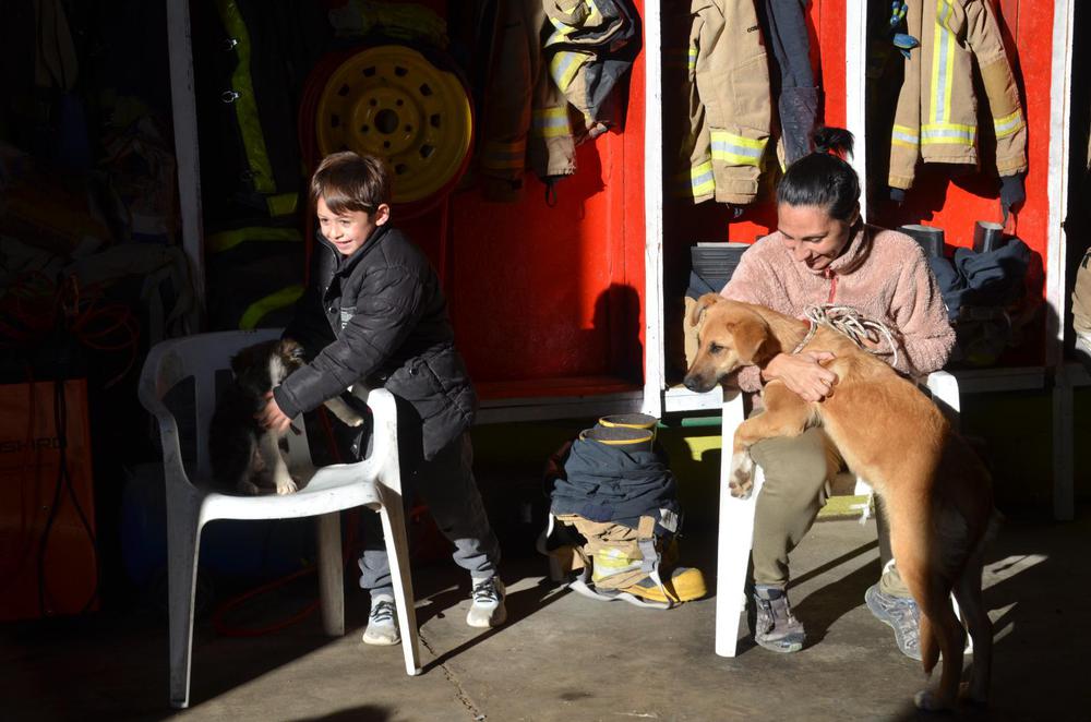 7c06bbfb-2f50-4ea5-ba0c-71f10ec3cafc