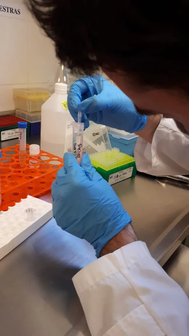 laboratorio molecular1