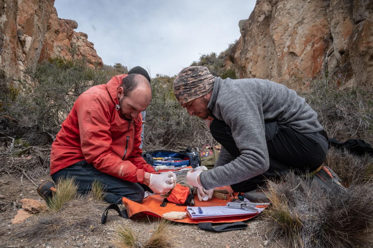 WhatsApp Image 2022-12-23 at 10.58.16 (1)