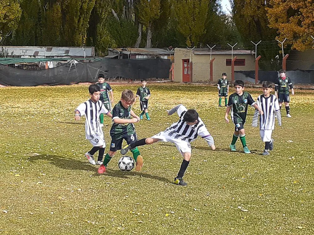 multimedia.normal.8e235d4963759b57.32303233303430385f3134333235395f6e6f726d616c2e6a7067