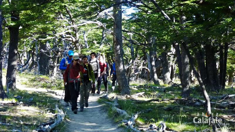 senderos chalten [AUDIO FMD]