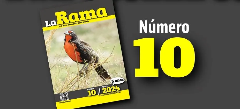 457377637_18053171392834141_5942581216300979629_n