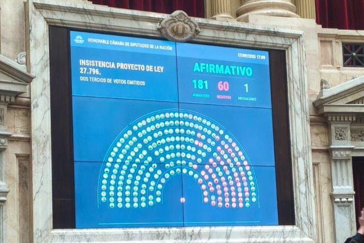 Votacion-Emergencia-en-el-Garrahan