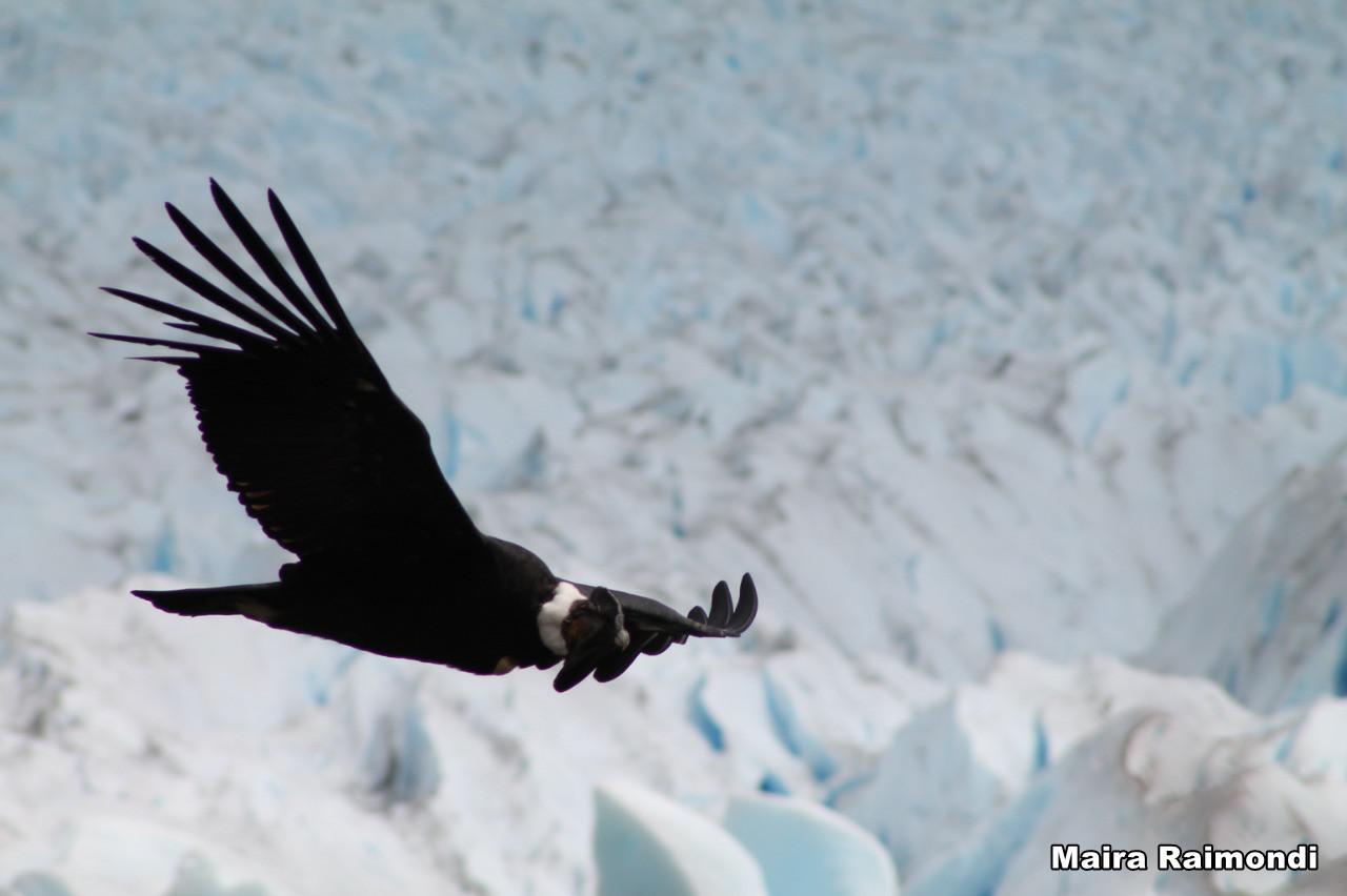 WhatsApp Image 2022-01-24 at 11.59.39 [Máximo Ancho 2400 Máxima Altura 1800]