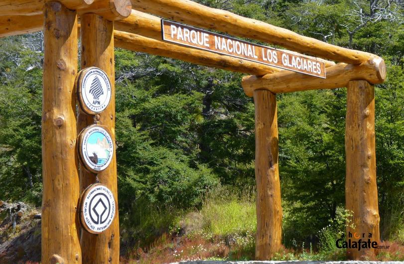 P1290573 [AUDIO FMD]