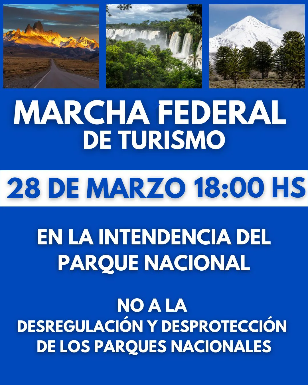 WhatsApp Image 2025-03-25 at 15.07.33(1)