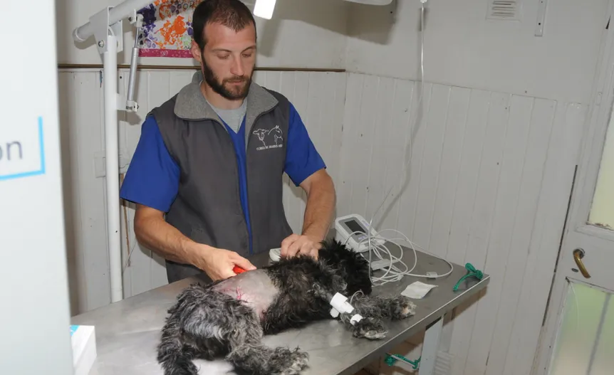 Screenshot 2024-09-27 at 14-39-34 MECH-esterilizacion-1.jpg (Imagen JPEG 1280 × 768 pixels) - Escala (83%)