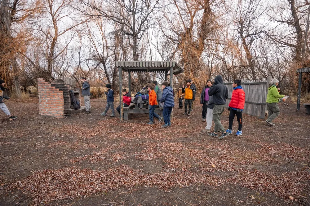 WhatsApp Image 2023-08-11 at 11.11.12