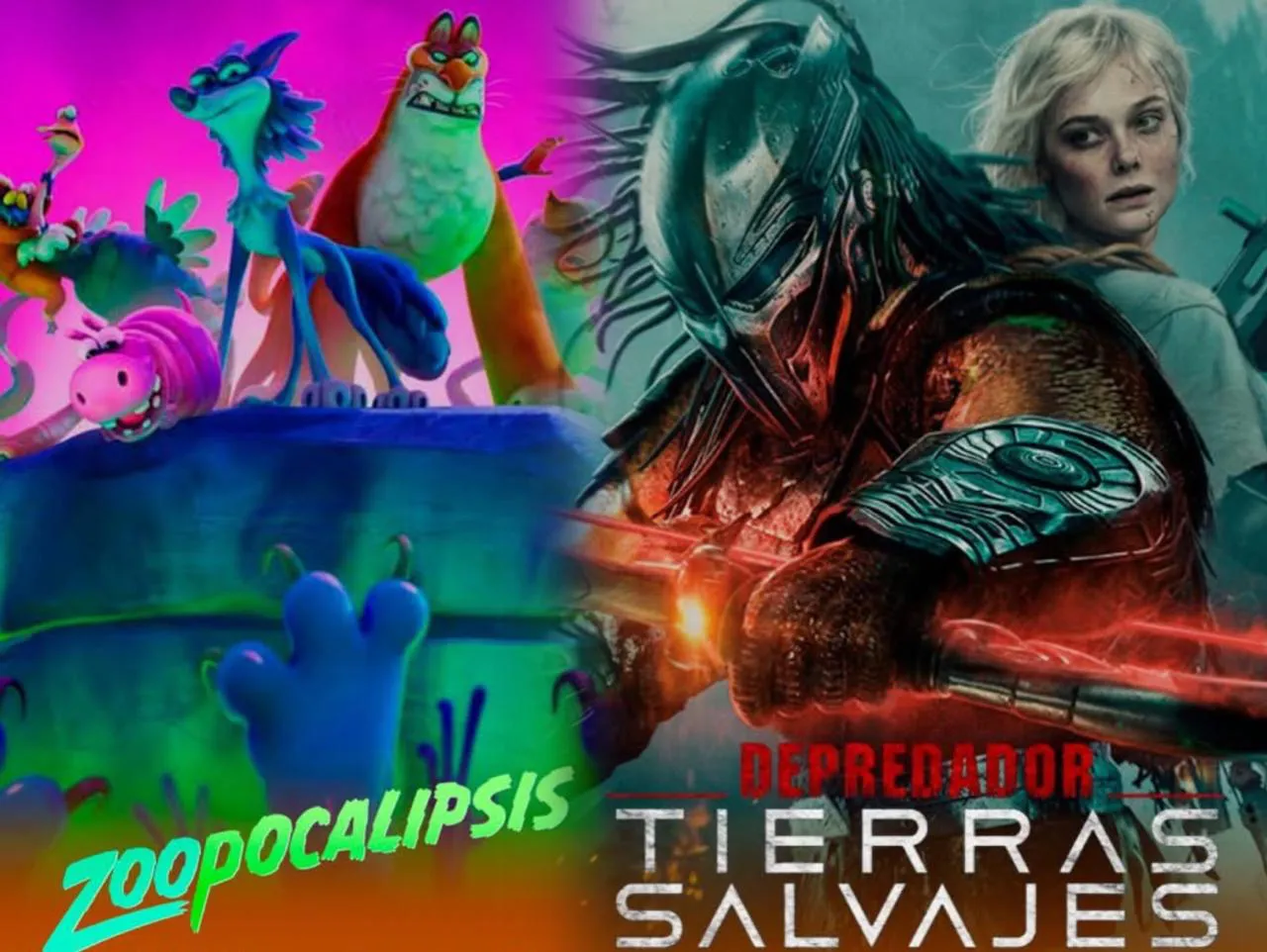 WhatsApp Image 2025-11-05 at 12.15.04