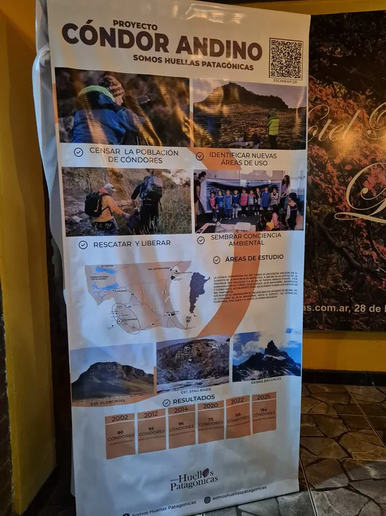 WhatsApp Image 2025-05-10 at 11.03.42