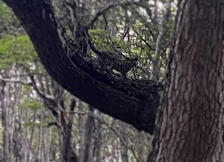 641370068_1349842687173359_558558102767186601_n