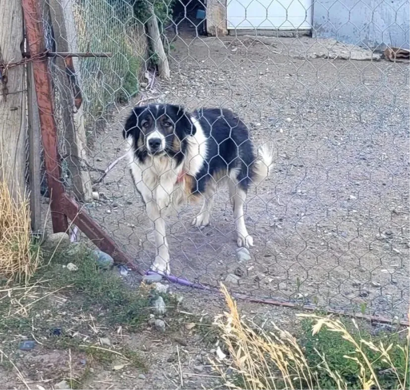 WhatsApp Image 2026-01-28 at 20.10