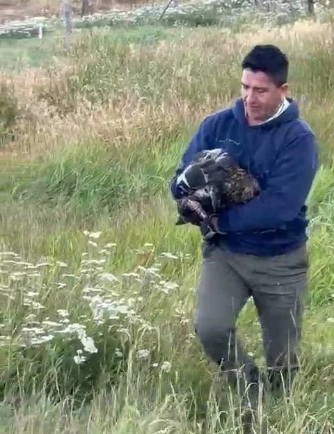 636879278_1347864297371198_2591013680019846849_n