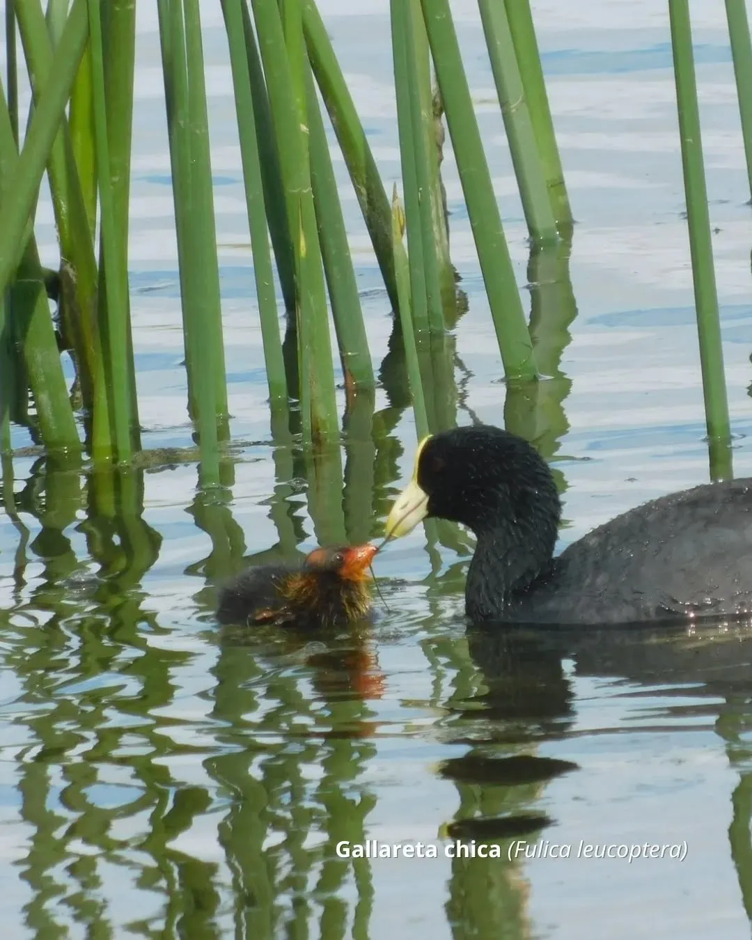 505984921_18354101440198508_6375985274535370487_n