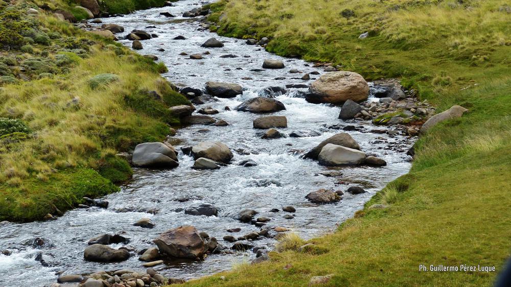 P1450239 [AUDIO FMD]