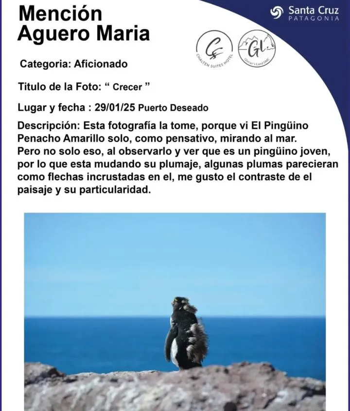 WhatsApp Image 2025-04-28 at 13.51.37(4)