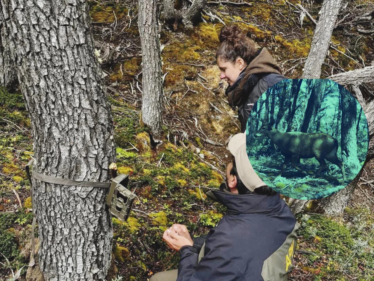 WhatsApp Image 2026-03-20 at 12.55.31