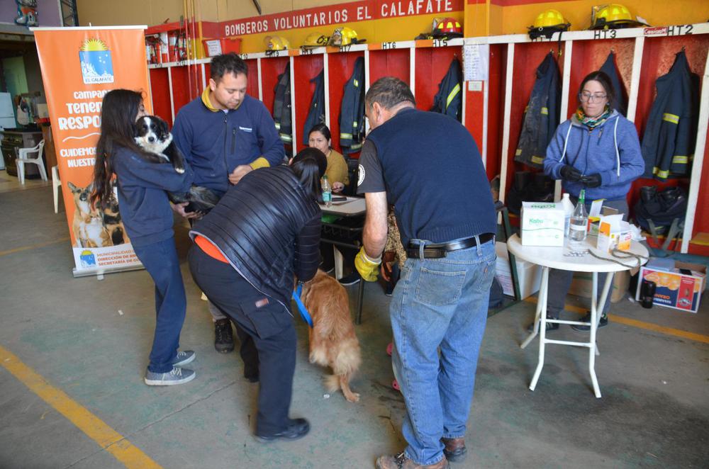 e545d26b-8cd3-4a37-9853-781d2a2e2724