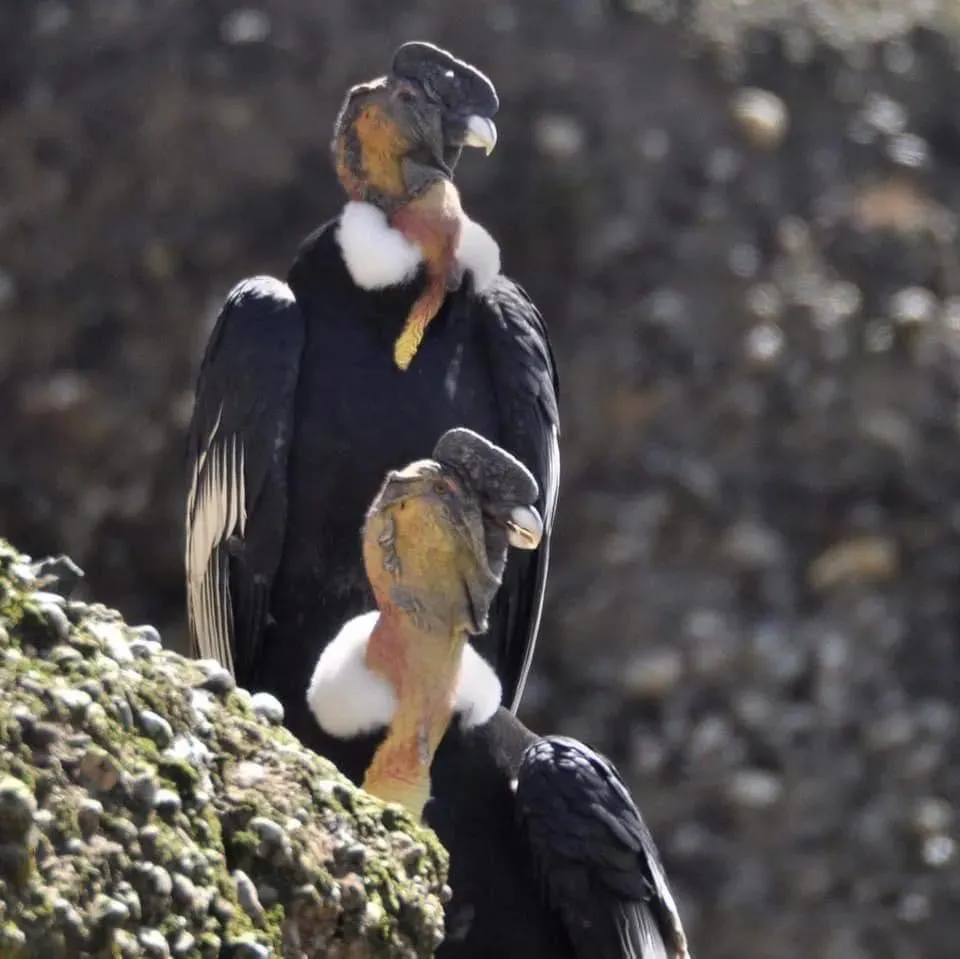 8403E6E7-2F56-4622-8C06-DEBEAA432290