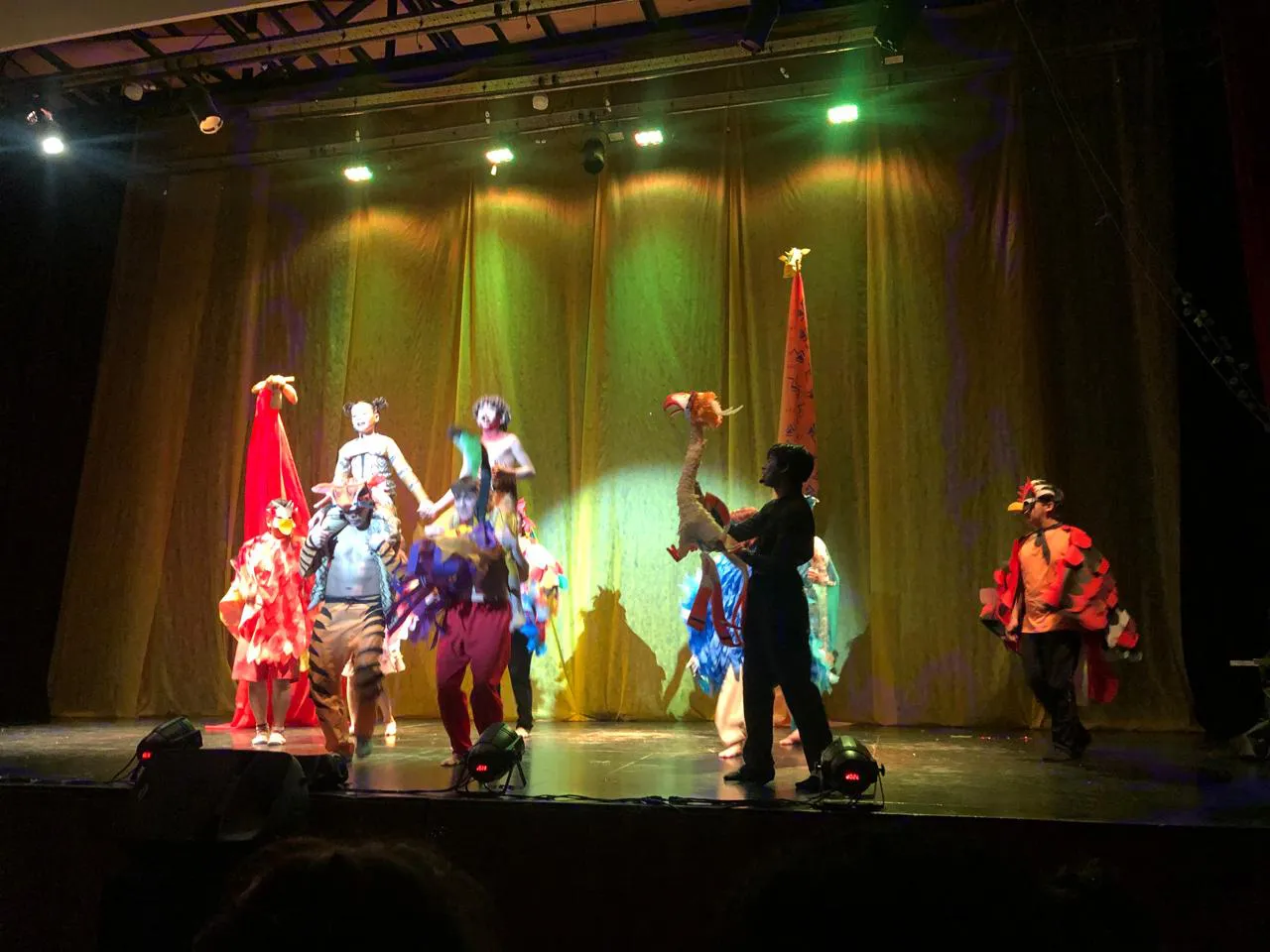 WhatsApp Image 2025-10-19 at 10.50.56