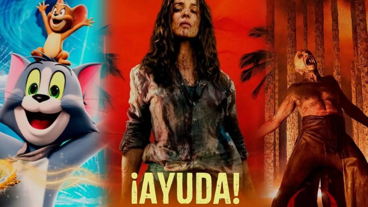 WhatsApp Image 2026-01-29 at 14.17.15