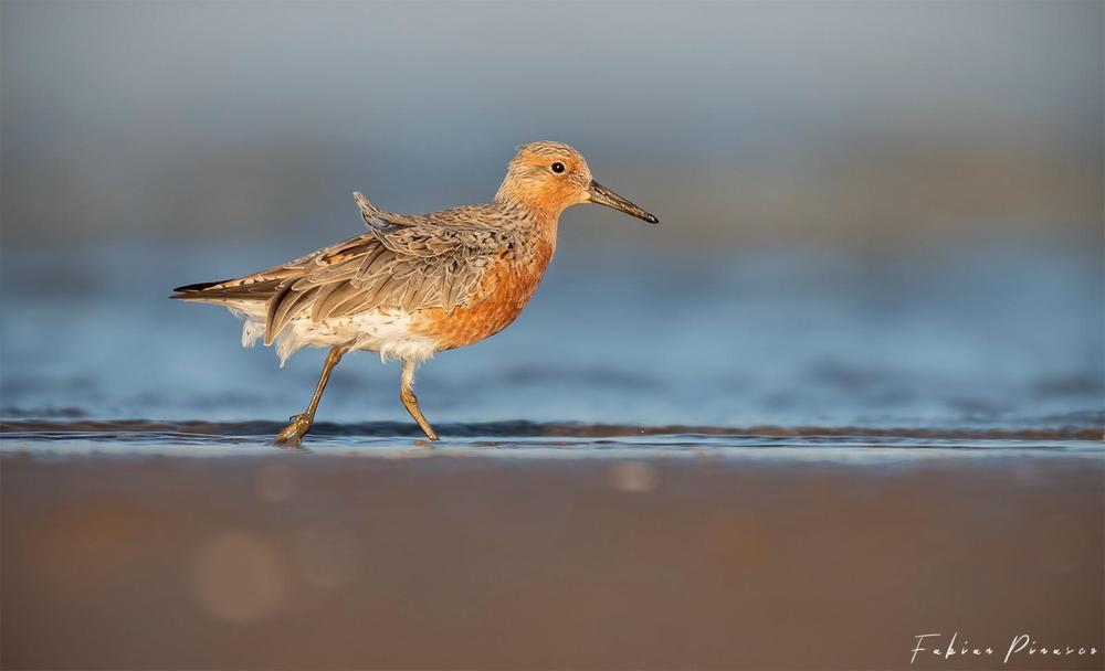 WhatsApp Image 2023-05-12 at 12.17.22