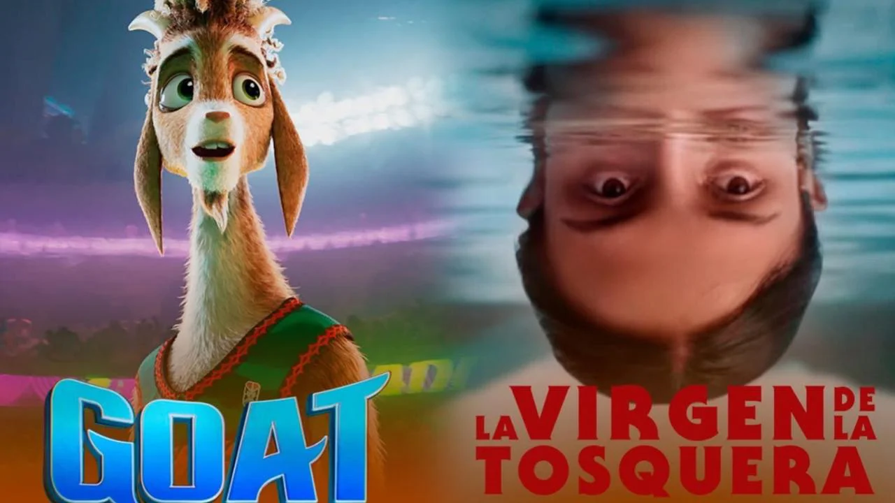 WhatsApp Image 2026-02-11 at 21.39.02