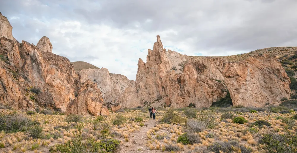 Imagen de WhatsApp 2025-01-15 a las 14.44.41_19653112~1