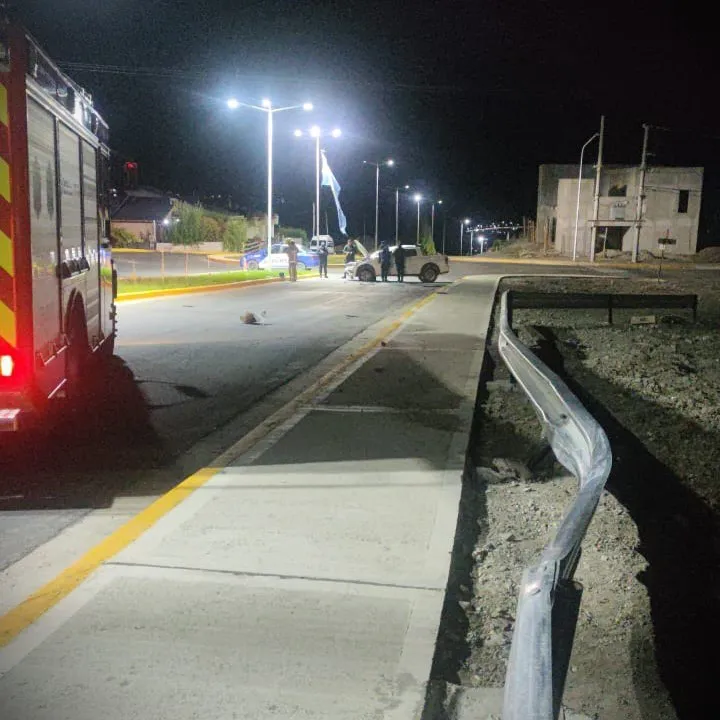 WhatsApp Image 2026-01-15 at 09.37.22 (1)