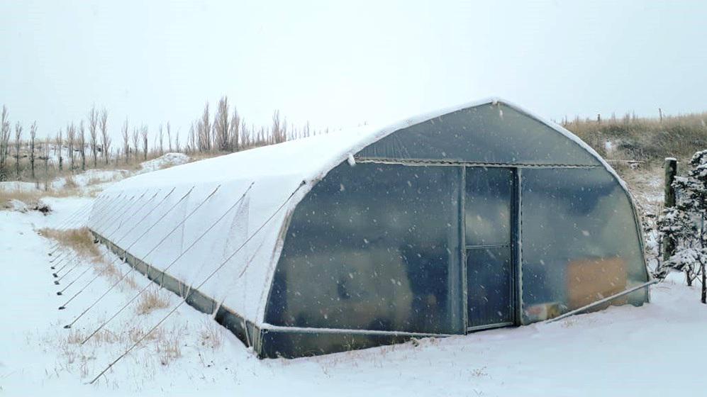 vivero Los Coirones 9