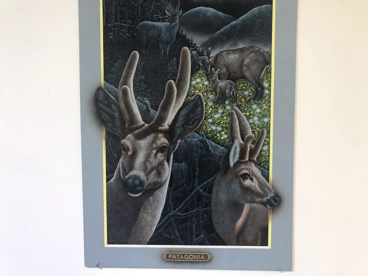 85E1998A-E667-4433-BB2B-BD0F15E2AD9D