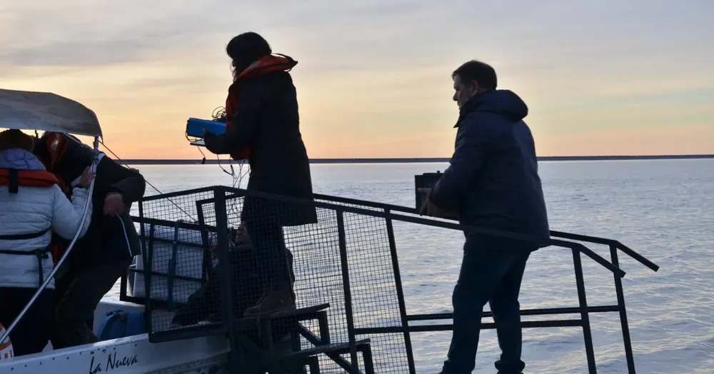 494701882_1090266129800209_8063520731708699575_n