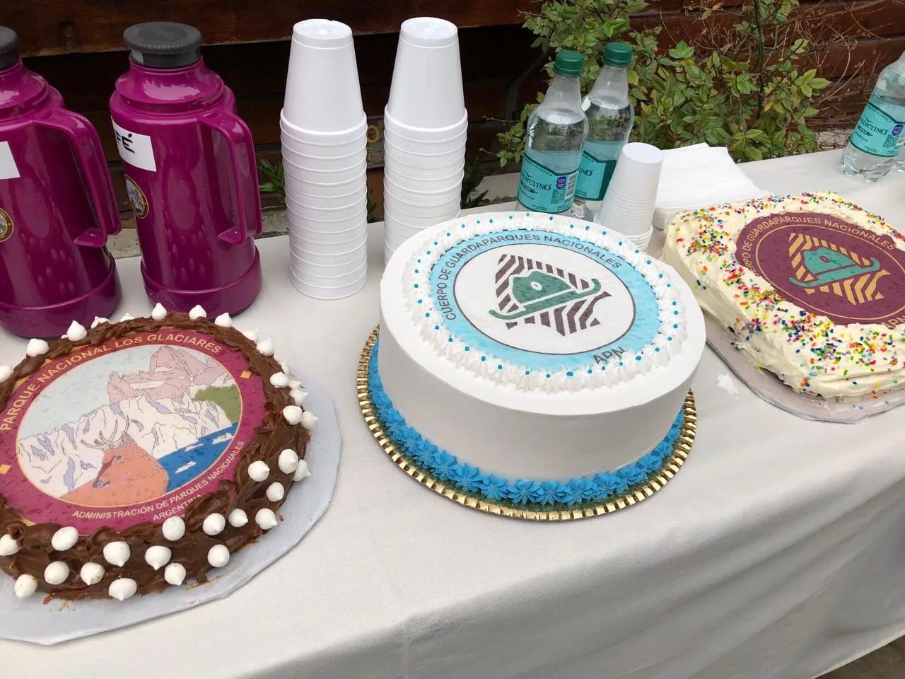 WhatsApp Image 2024-10-09 at 14.04.24(4)