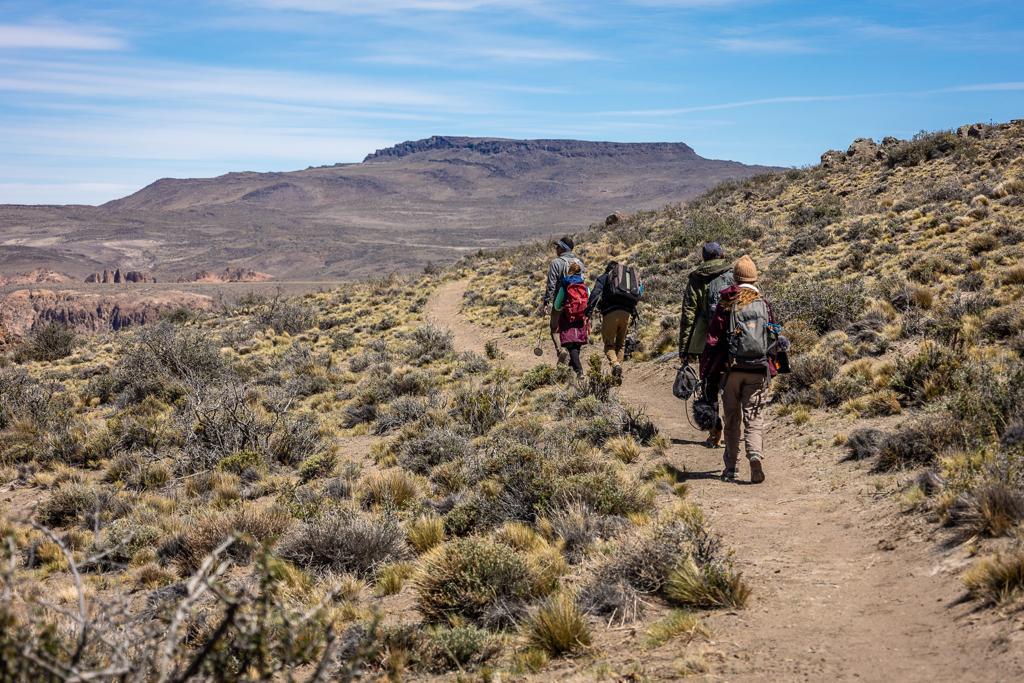 WhatsApp Image 2022-11-24 at 12.17.08 (1)