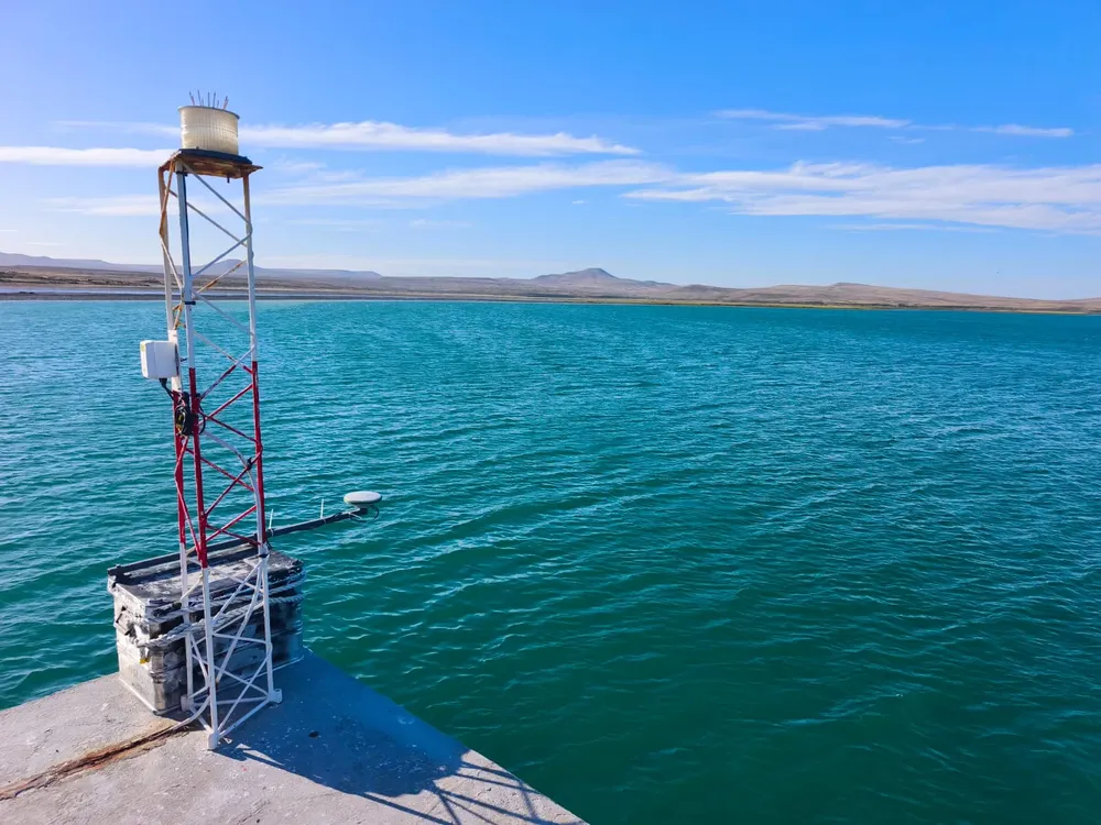 WhatsApp Image 2026-03-18 at 12.07.37 (1)