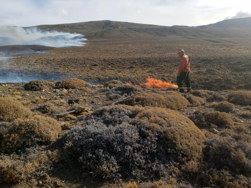 Imagen de WhatsApp 2025-02-21 a las 19.31.29_293ff950