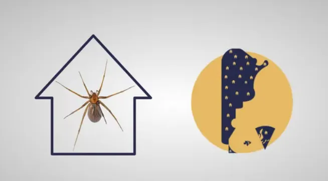 Screenshot 2024-12-24 at 08-27-13 (20 ) Video Facebook