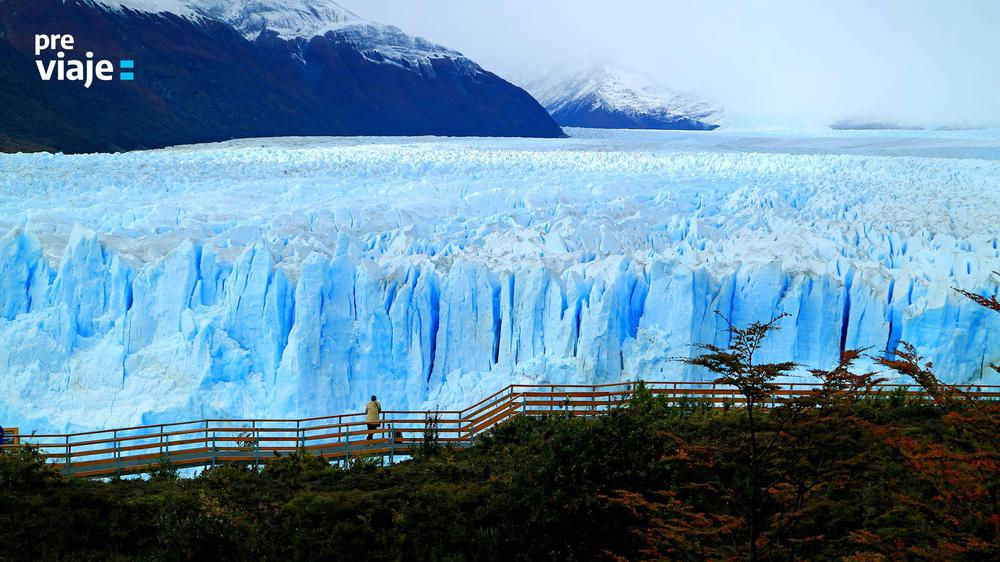 Calafate