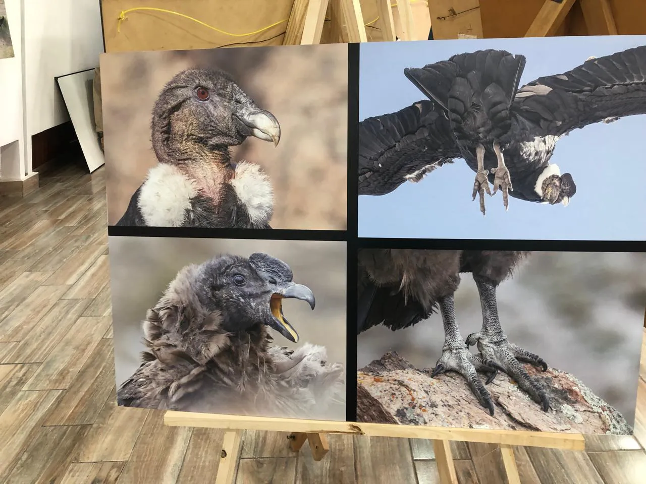 WhatsApp Image 2025-10-13 at 21.36.02