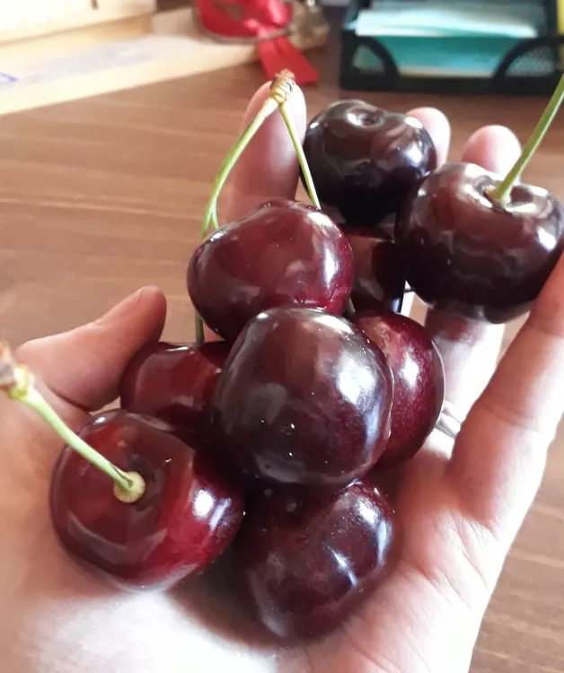 Cerezas LosAntiguos (1)